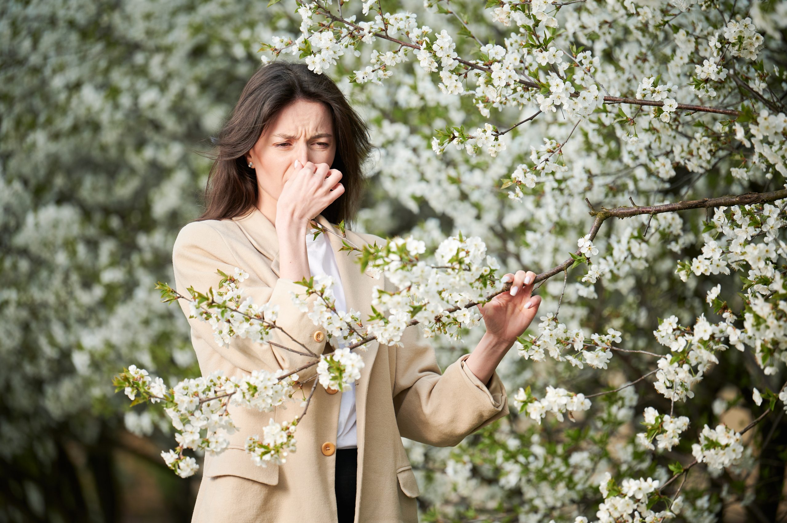 Woman allergic suffering from seasonal allergy at spring in blossoming garden at springtime. Young woman sneezing, having runny nose in front of blooming tree. Spring allergy concept