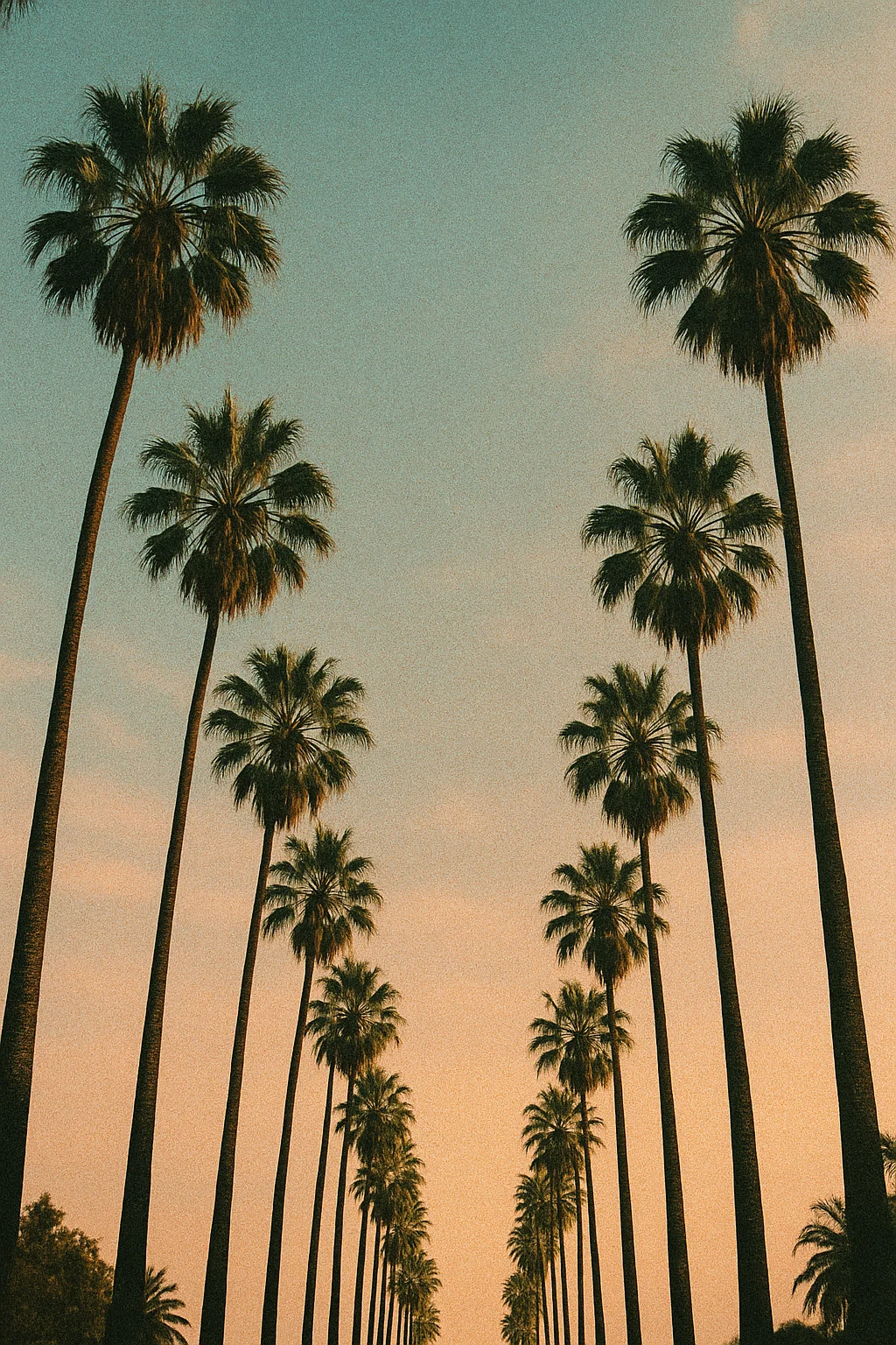 los-angeles-neighborhood-guide-chiropractic